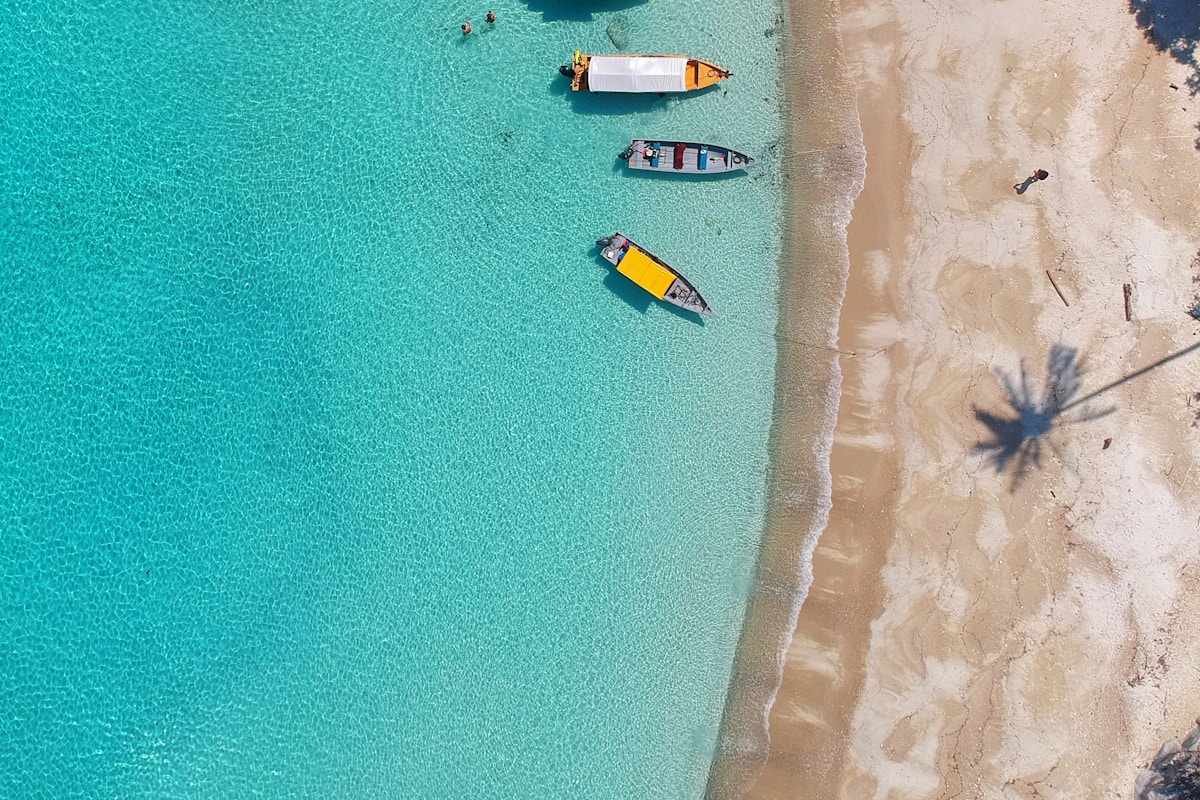 Sunset over coastline